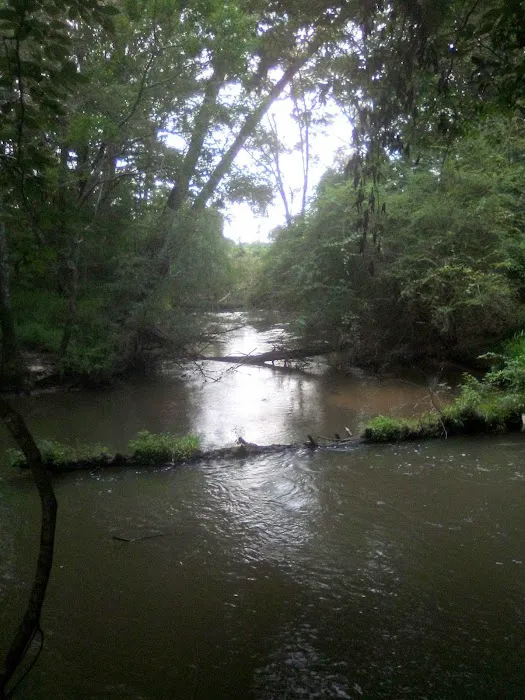 Tickfawriver cabin resort Picture 1