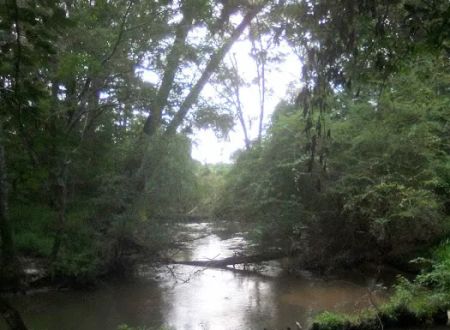 Tickfawriver cabin resort
