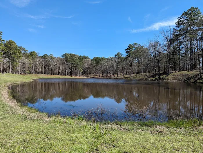 Coal Bluff Park Campground Picture 9