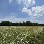 Hugo Lake Campground