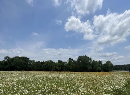 Hugo Lake Campground