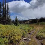 Lobo Overlook (recgovnpsdata)