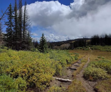 Lobo Overlook (recgovnpsdata)