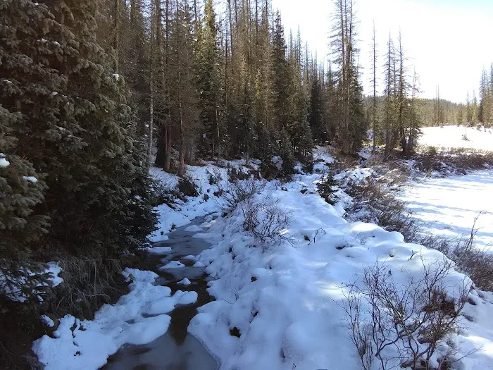 Wolf Creek Interpretive Site (recgovnpsdata) Picture 6