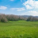 Wolf Creek Interpretive Site (recgovnpsdata)