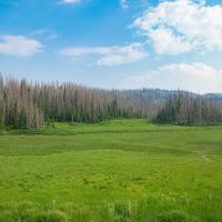 Wolf Creek Interpretive Site (recgovnpsdata) ico