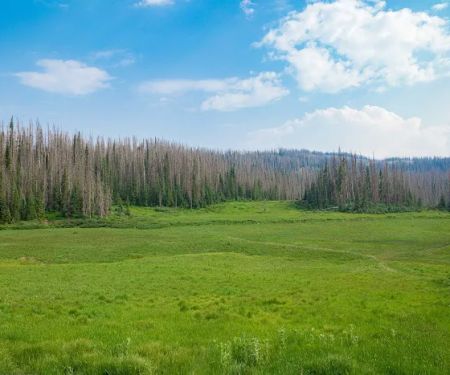 Wolf Creek Interpretive Site (recgovnpsdata)