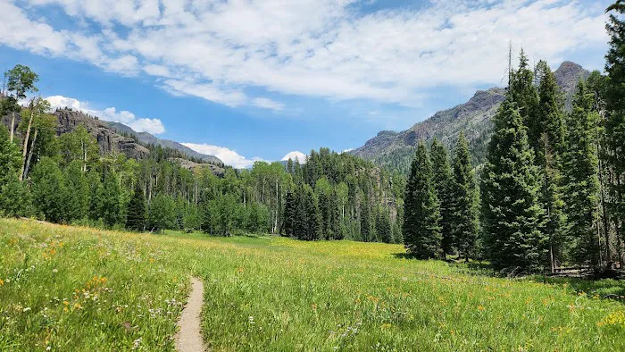 Williams Creek Trailhead Picture 5