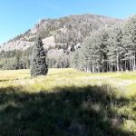 Williams Creek Trailhead