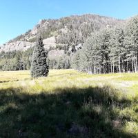 Williams Creek Trailhead ico