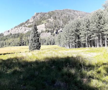 Williams Creek Trailhead