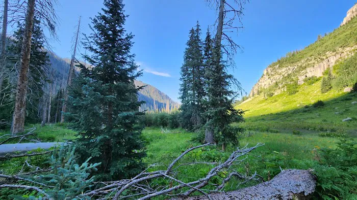 Williams Creek Trailhead Picture 4