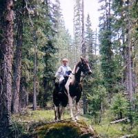 Palisades Horse Campground ico