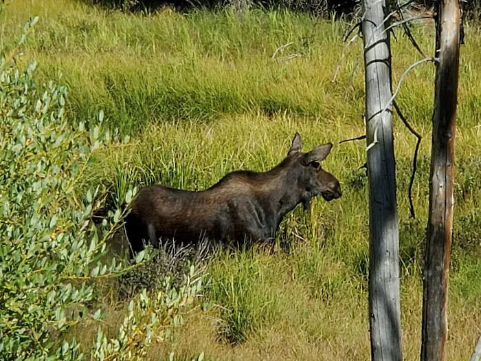 Lost Trail Campground Picture 9