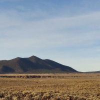 High Coyote Hill ico