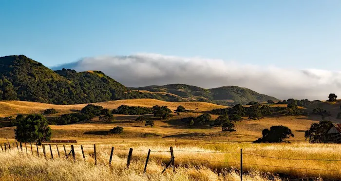 High Coyote Hill Picture 6