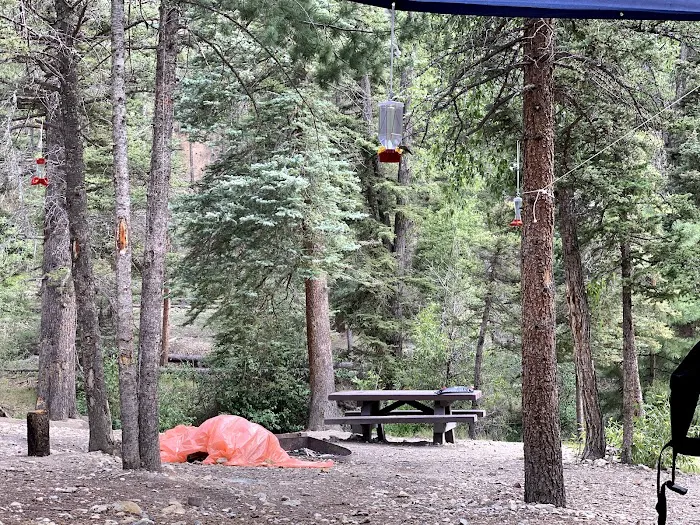 Junebug Campground Picture 3