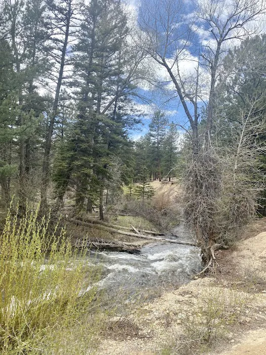 Junebug Campground Picture 4