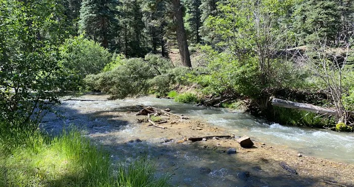 Junebug Campground Picture 6