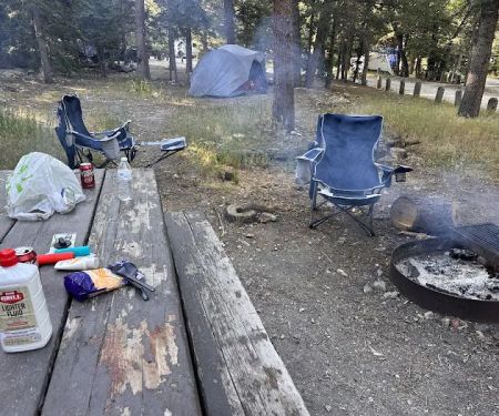 Junebug Campground