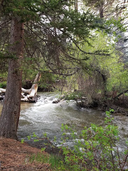 Fawn Lakes Campground Picture 6