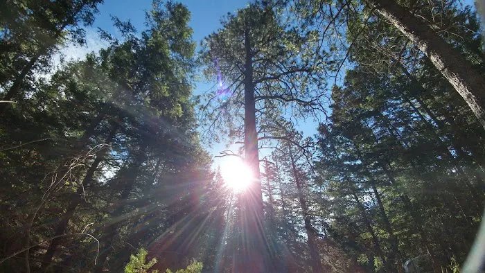 Elephant Rock Campground Picture 9
