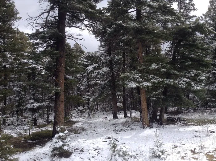 Cimarron Campground Picture 10