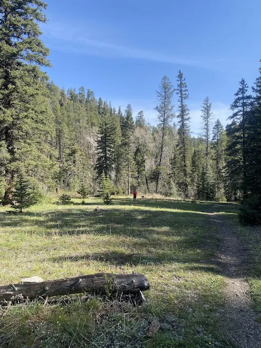 Columbine Campground Picture 6