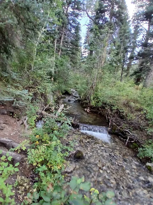 Columbine Campground Picture 9