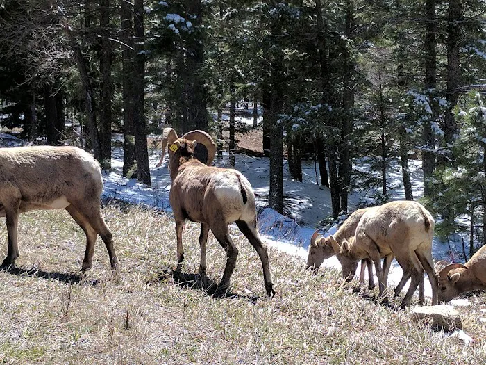 Goat Hill Campground Picture 10