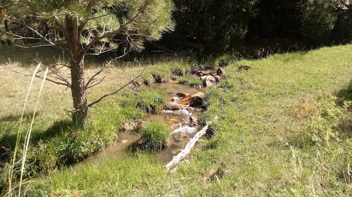 McCrystal Campground Picture 2