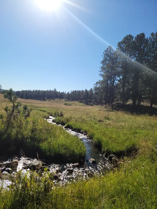 McCrystal Campground Picture 10