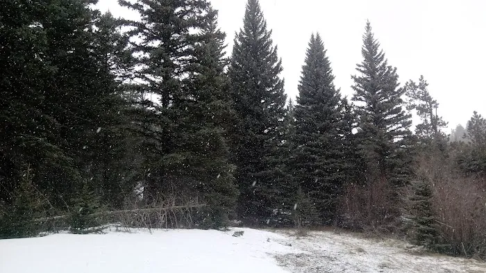 McCrystal Campground Picture 6