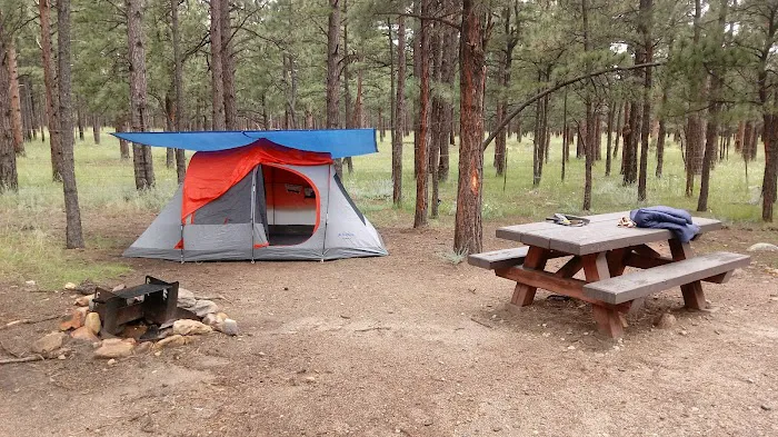 McCrystal Campground Picture 5