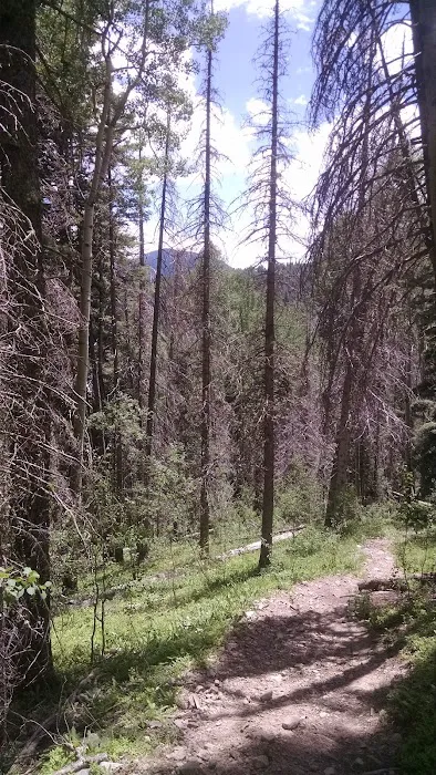 Italianos Campground Picture 3