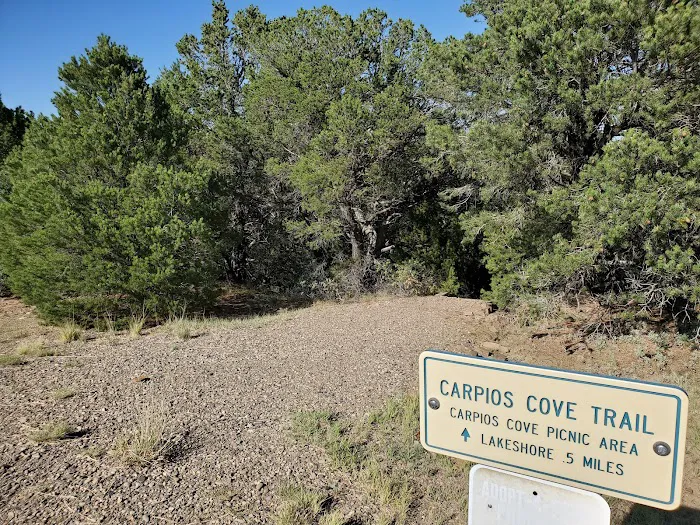 Carpios Ridge Campground Picture 7