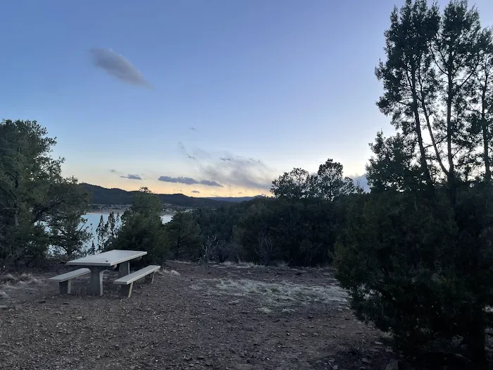Carpios Ridge Campground Picture 8