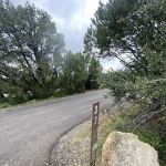 Campsite #37