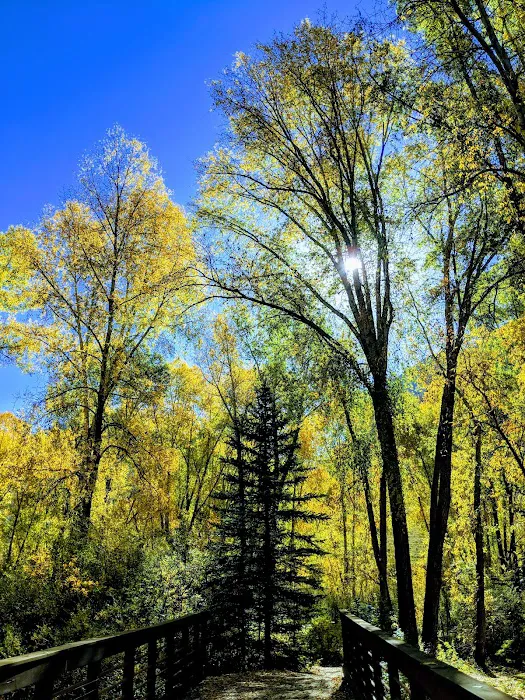 Telluride Town Park Campground Picture 3