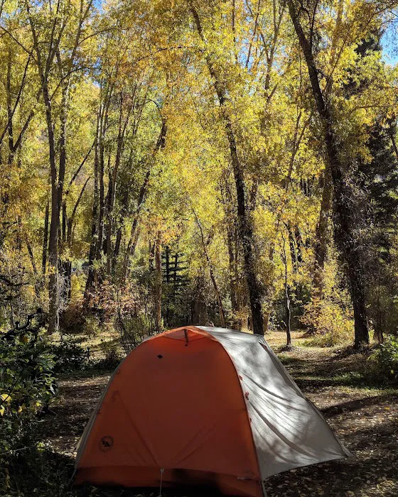 Telluride Town Park Campground Picture 6