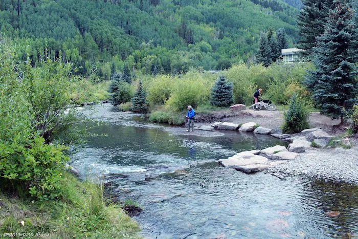 Telluride Town Park Campground Picture 8