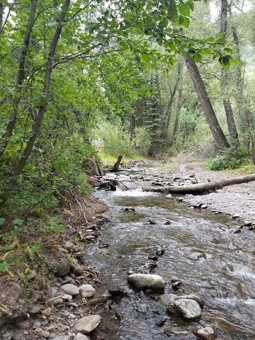 Telluride Town Park Campground Picture 9