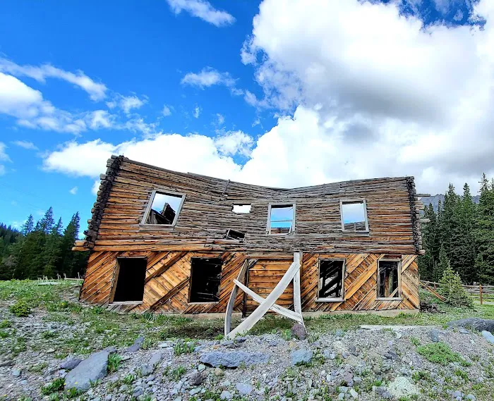 Alta Lakes Campground (Dispersed) - Norwood RD Picture 3