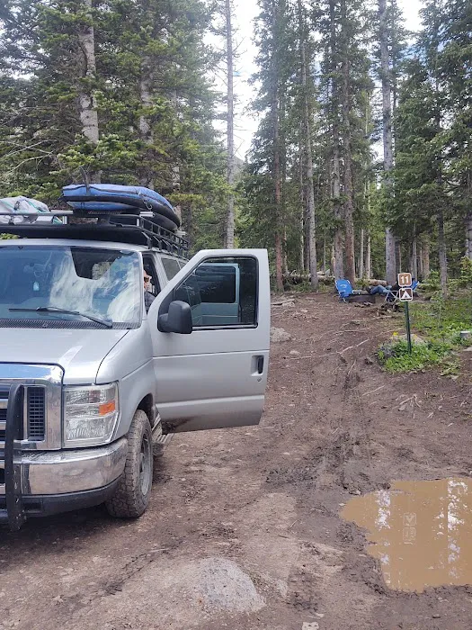 Alta Lakes Campground (Dispersed) - Norwood RD Picture 10