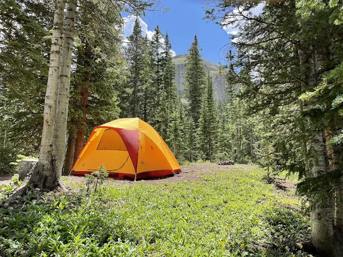 Alta Lakes Campground (Dispersed) - Norwood RD Picture 7