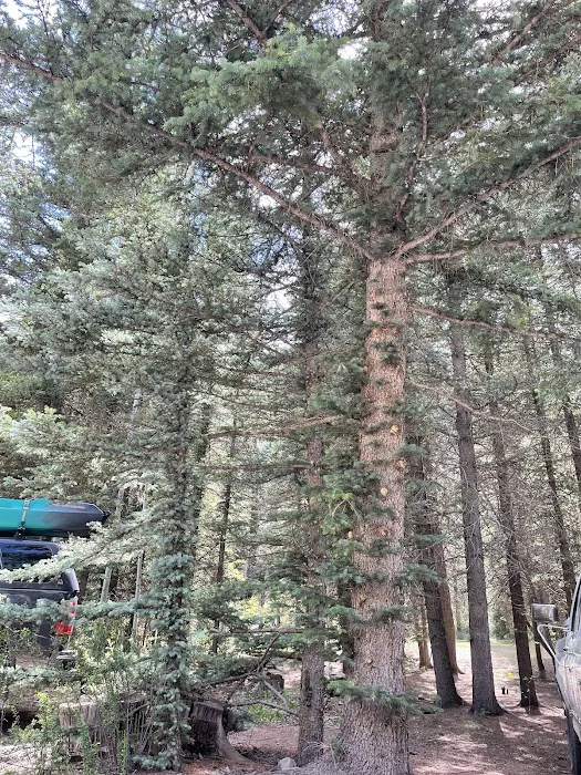 Mary E Campground Picture 9