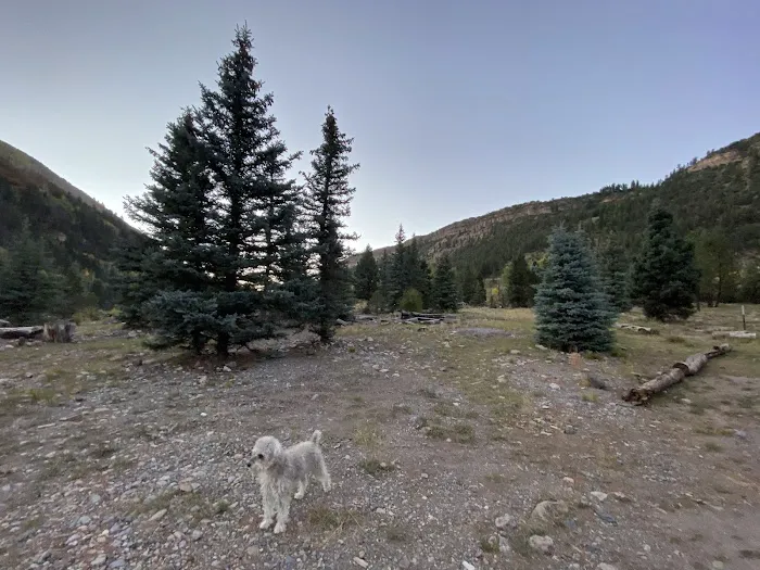 Mary E Campground Picture 6