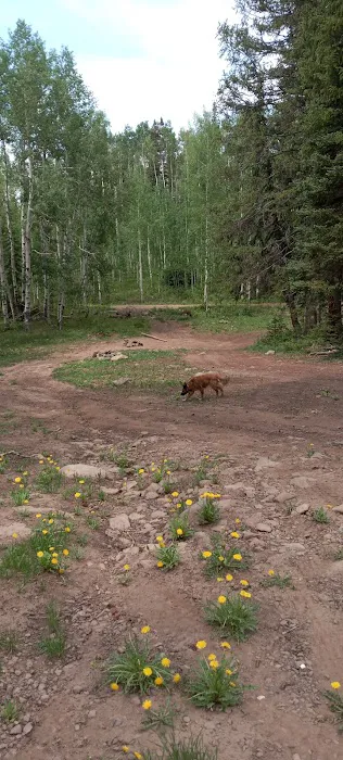 Anvil Campground Picture 4