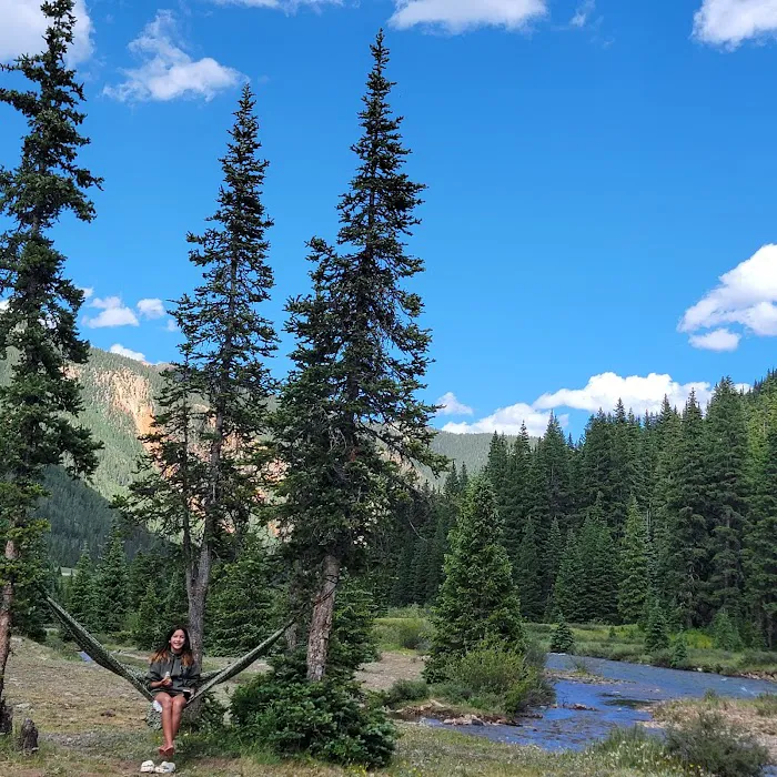 Golden Horn Campground of the San Juan National Forest Picture 8