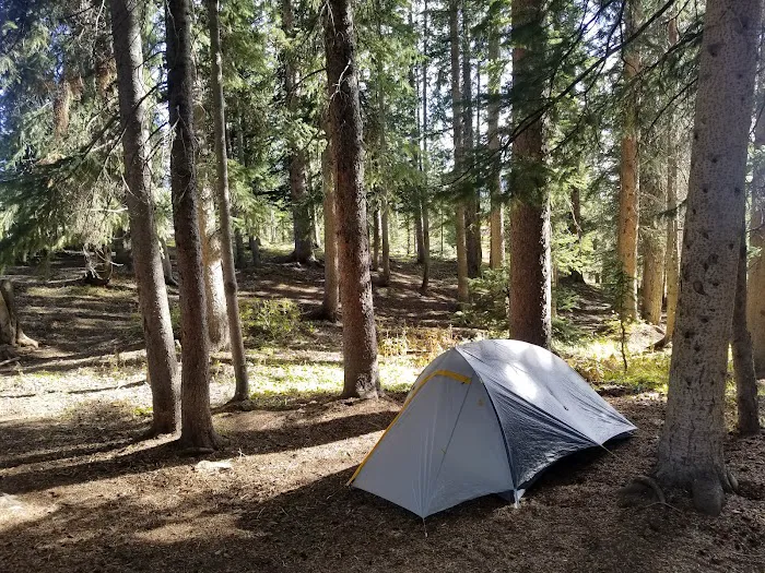 Little Molas Lake Picture 5